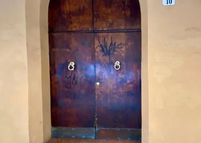 Belle Arti بولونيا